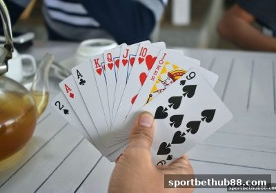 体育博彩网站带你深挖桌游魅力:大满贯入门与进阶全攻略