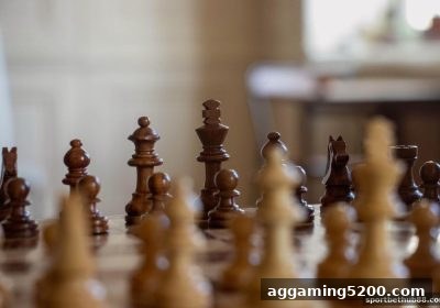 体育博彩网站深度解析：扑克职业玩家成长、比赛分析、优惠利用与平台选择全攻略