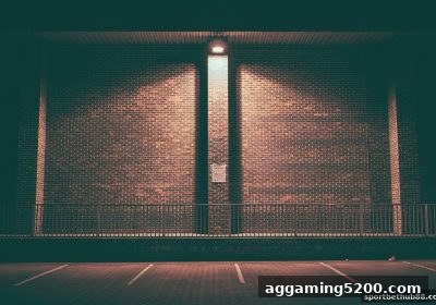 体育博彩网站带你玩转捕鱼炮台与亚冠直播的跨界互动新纪元