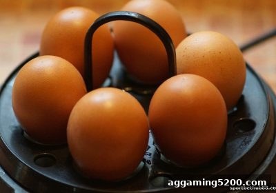 体育博彩网站免费旋转策略全解析：动机洞察与合规运营指南